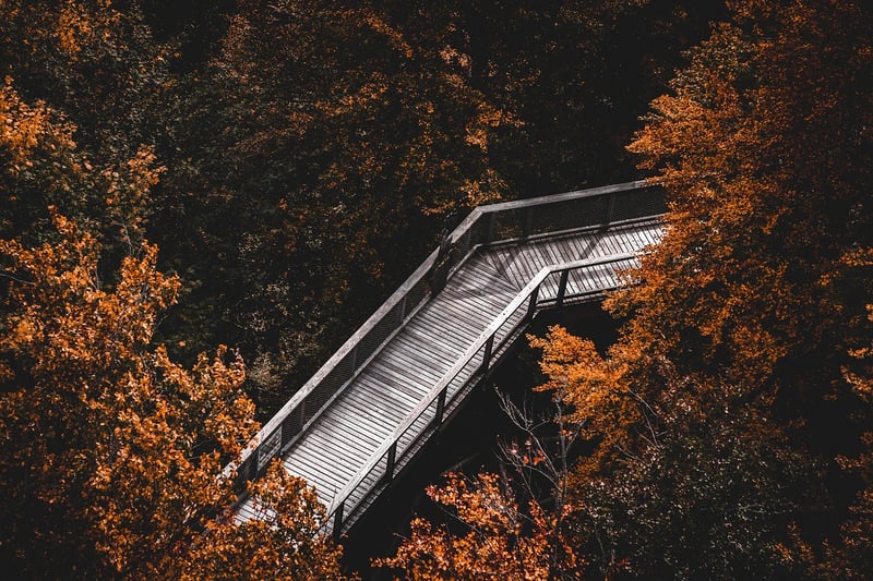 Canopy Walk