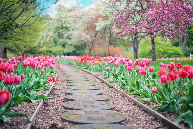 Winding Pathway