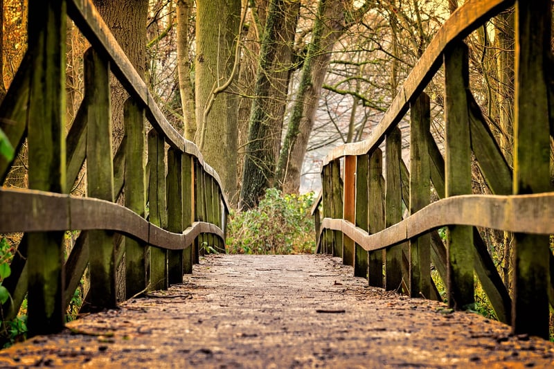 Garden Walkway