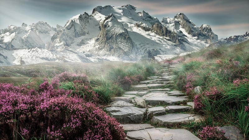Stone Stepping Stones